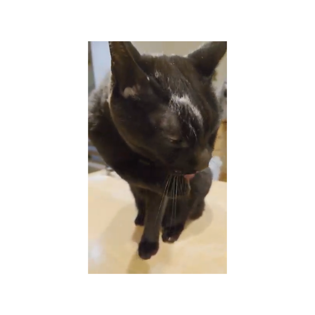 ソルプルを少量ずつ取り入れたところ3日目にして素晴らしいうんちをしてくれました！