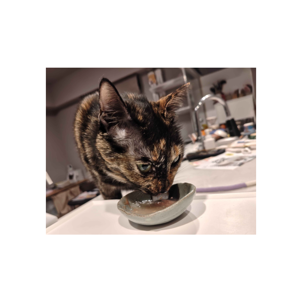 スプーン１杯くらいであげたら、びっくりするくらい見たことないレベルの長い💩が出ました