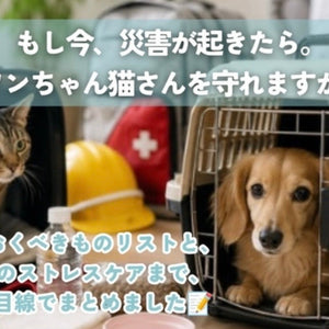 「まさか自分の地域が」から命を守るために。ワンちゃん猫さんの災害対策🐾