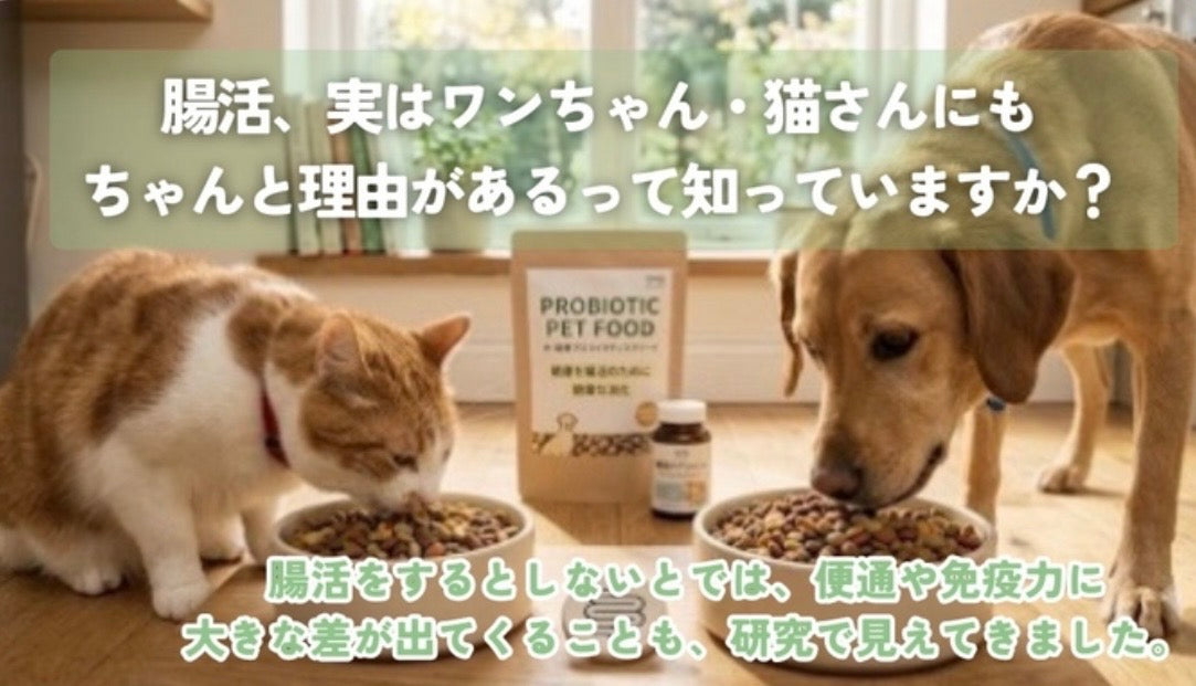 猫さん・ワンちゃんの「腸活」、実は科学的にすごく理にかなっています🐾