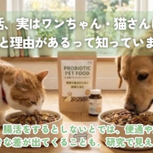 猫さん・ワンちゃんの「腸活」、実は科学的にすごく理にかなっています🐾