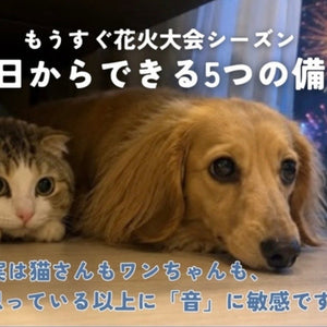 花火・雷が怖い猫さん・ワンちゃんへ〜音のストレスから守ってあげる方法〜