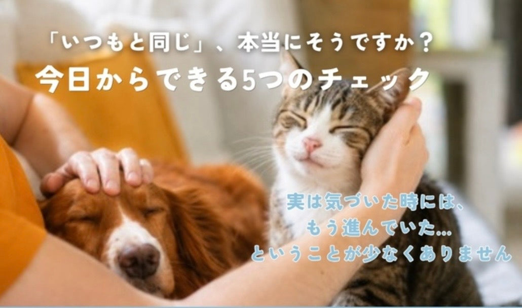 猫さん・ワンちゃんの「いつもと違う」、気づけていますか？🐾 獣医師・根来さやが解説します