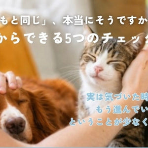 猫さん・ワンちゃんの「いつもと違う」、気づけていますか？🐾 獣医師・根来さやが解説します