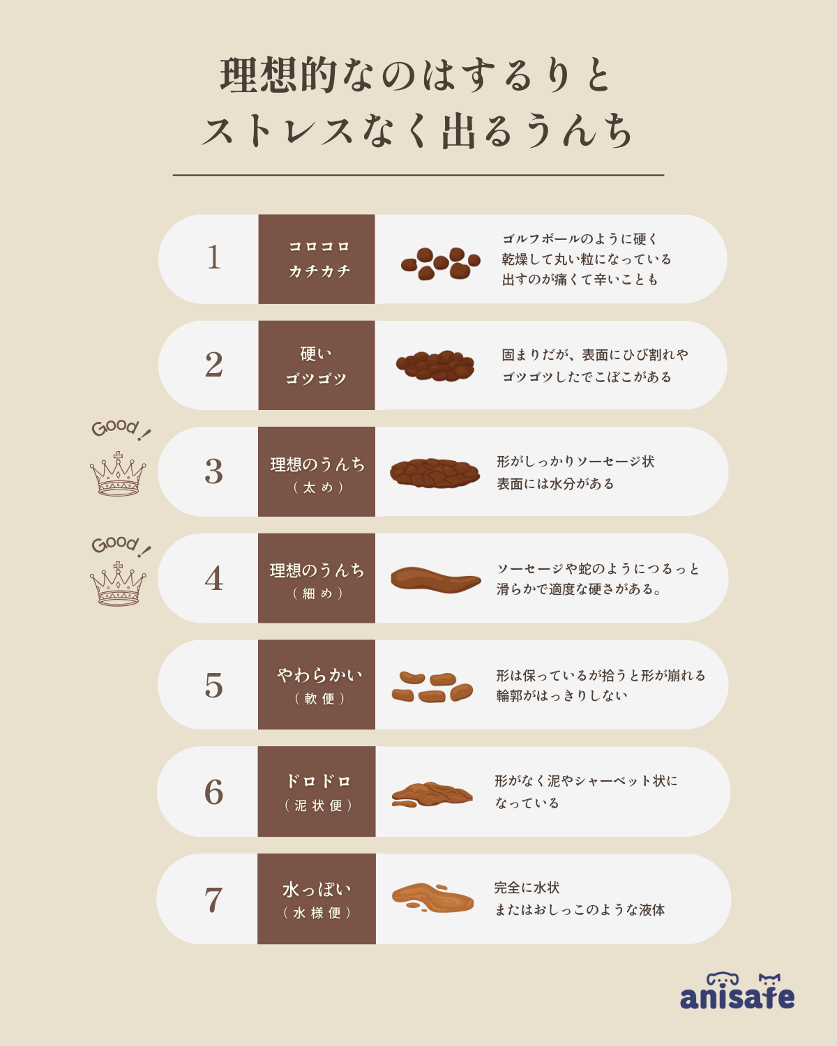 ソルプル 55g / 獣医師が本気で欲しかった、犬猫の「お腹の健康」サポートサプリ